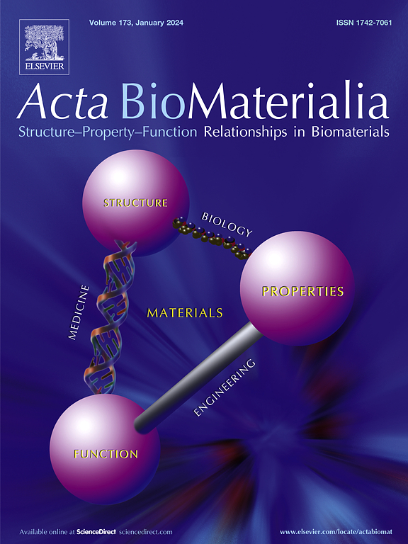 Go to journal home page - Acta Biomaterialia